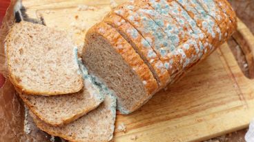 Si no se actúa a tiempo con el producto con moho, infectará al resto de la comida que tenga cerca.