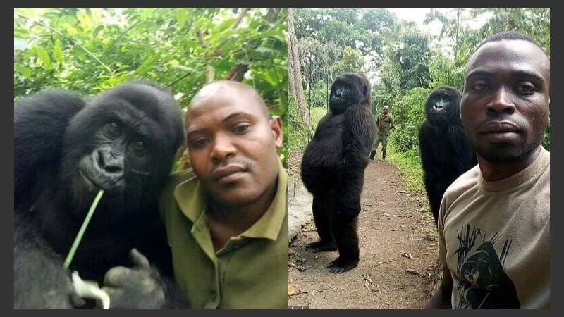 Las imágenes subidas a las redes sociales.