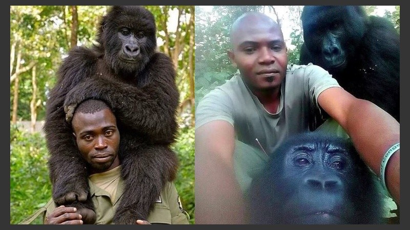 Las imágenes subidas a las redes sociales.