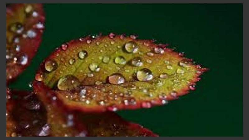 El otoño tiene sus días mojados y sin sol. 
