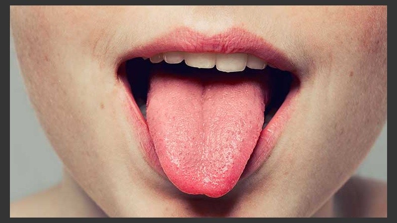 Este descubrimiento aplica tanto para humanos como para muchos animales.