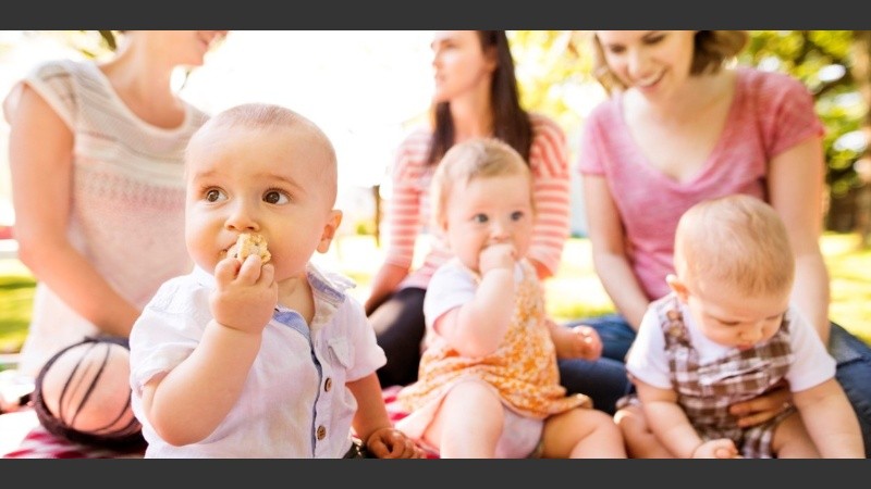 No están solas, forman una tribu 
