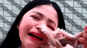 Cuidado con el pulpo.