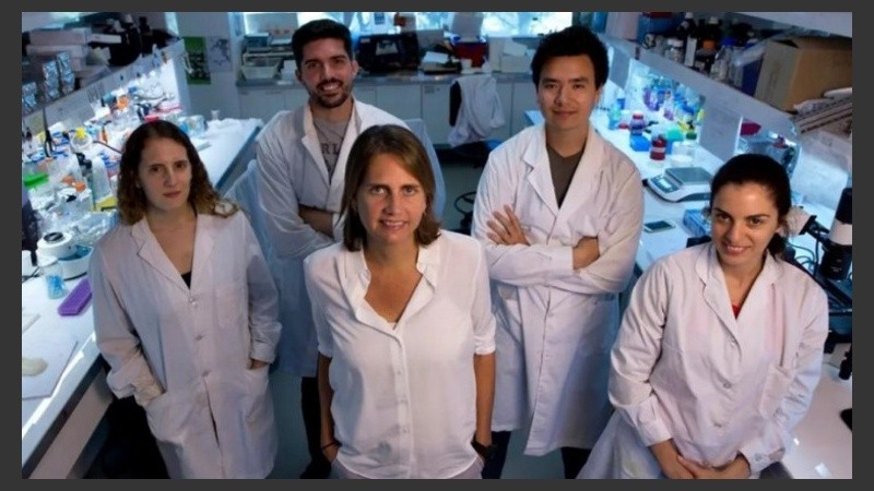 El equipo que trabaja junto a Marina Simian en el Instituto de Nanosistemas de la UNSAM.
