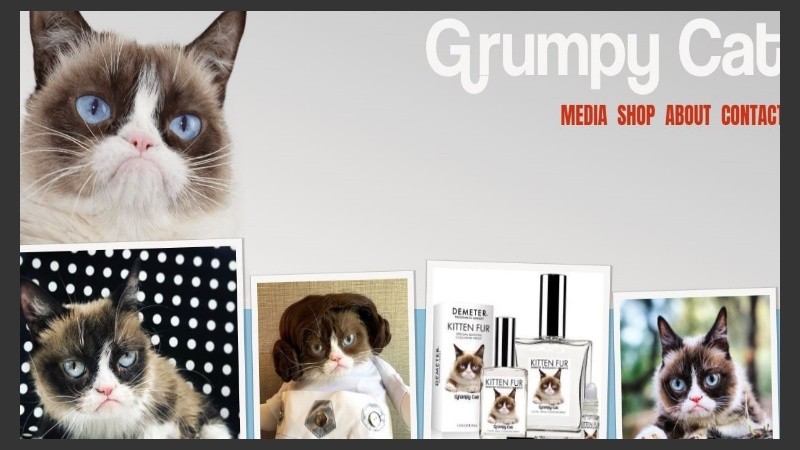 Llegó a ser considerada como la felina más influyente de 2012 para la MSNBC.