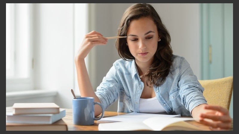 El libro es teoría y es acción.