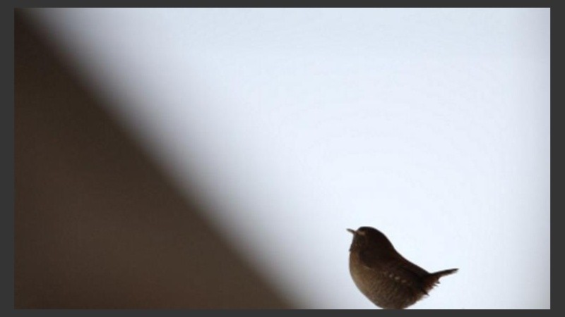 A mirar el cielo, por las dudas. 