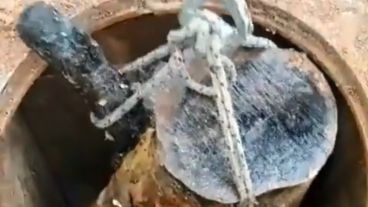 El tronco “impedía el escurrimiento a 6 metros de profundidad”.