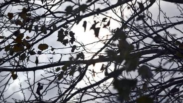 Todo gris sobre Rosario, pero con ganas de mejorar.
