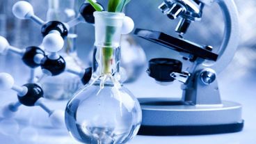 Se otorgará un primer premio y dos menciones de $ 50 mil y $ 25 mil.