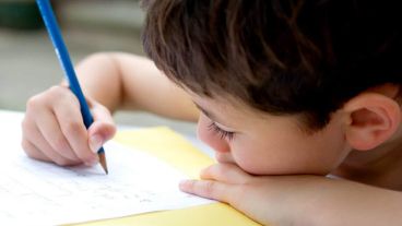 Beatriz Ortiz y Mario Lillo son los autores de la obra.