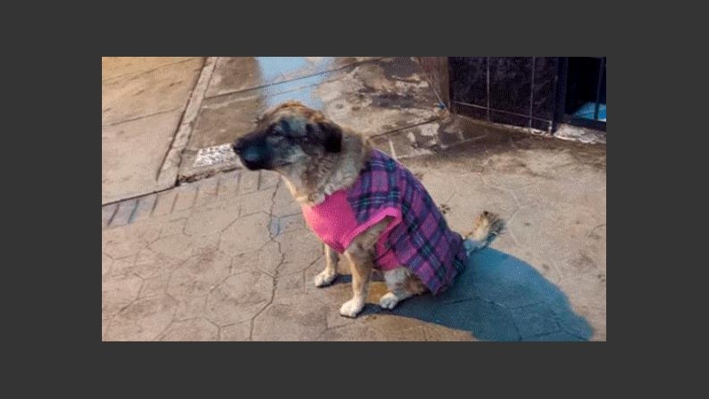 Mucha humedad alrededor. 