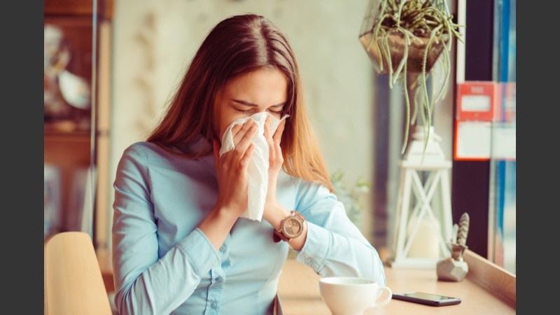 Los remedios homeopáticos son elaborados mediante sucesivas diluciones en agua o alcohol.