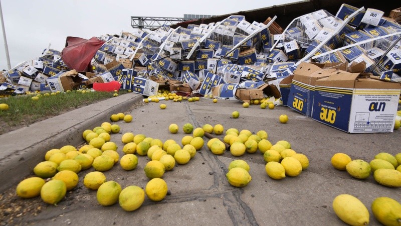 Limones de exportación tirados en Circunvalación. 