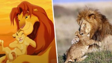 Casi que se puede escuchar El ciclo de la vida.