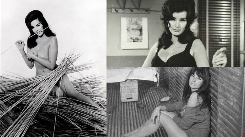 Sus filmes se convirtieron con el tiempo en películas de culto.