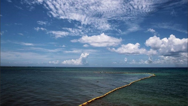 Costas del caribe mexicano invadidas por sargazo. 