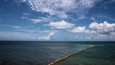 Costas del caribe mexicano invadidas por sargazo.