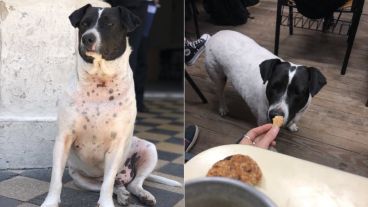 La "verdadera identidad" de Perro Vaca, un atorrante.