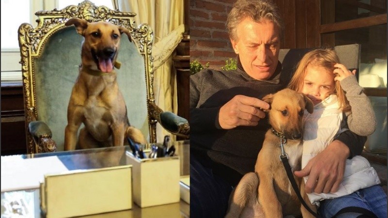 Balcarce hizo campaña en 2015, llegó a la Casa Rosada y en 2016 desapareció.