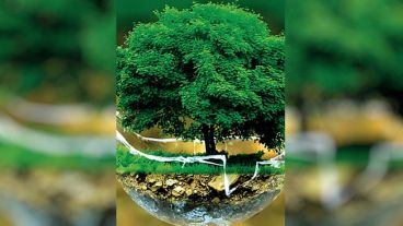 El Ciclo de ecología que coordina el periodista Sergio Rinaldi cumple veinte años.