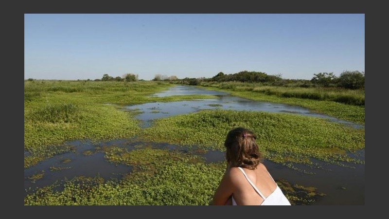 Denuncian actividades sin estudiar los impactos ambientales.