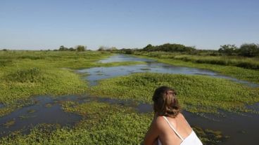 Denuncian actividades sin estudiar los impactos ambientales.