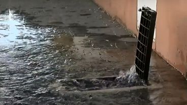 Los medidores se roban y el agua queda turbia en las veredas.