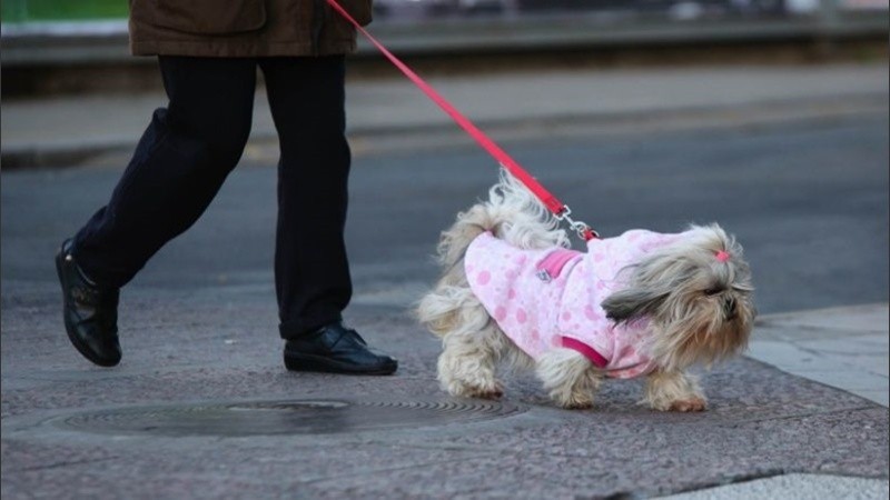 El frío afloja un poco esta semana.