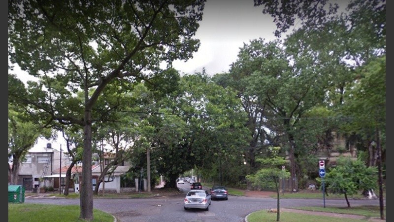 La zona en donde el auto impactó contra un árbol. 