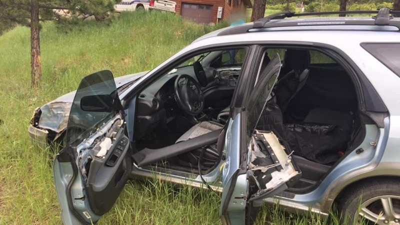 Luego de que el animal ingresara al coche las puertas se cerraron.