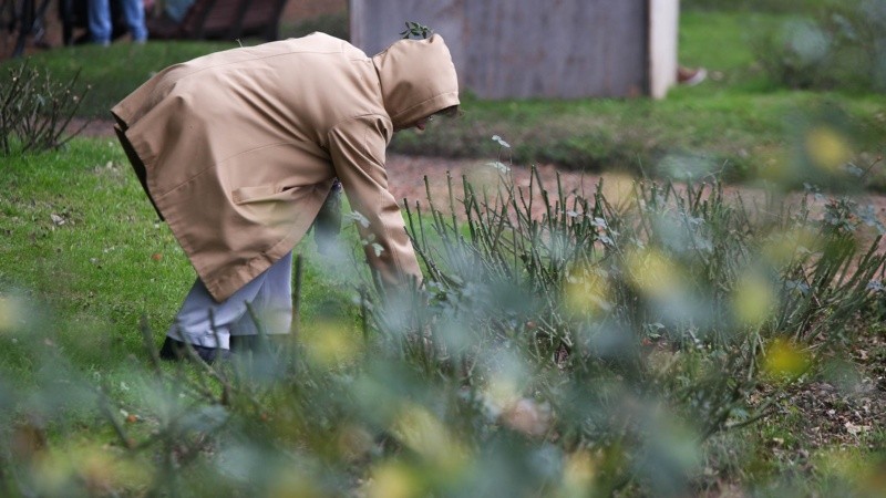 Una mañana para ocuparse del jardín.