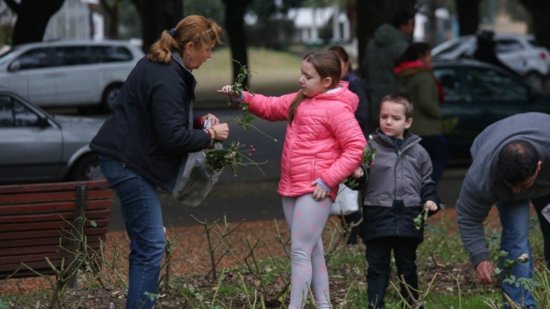 Grandes y chicos ayudaron a buscar esquejes de rosales.