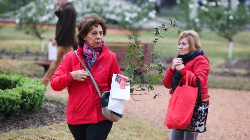 Una mañana fría que no importó para venir a buscar esquejes de rosas.