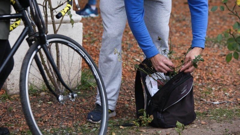 En bici, auto o caminando. Mucha gente se acercó al Rosedal.