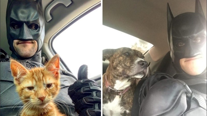 Van Dorn se embarcó en docenas de horas de viaje para salvar mascotas.