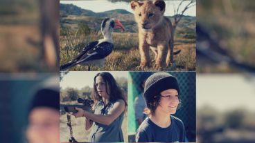 Pantalla grande para "El rey león", "En los 90" e "Infierno grande".