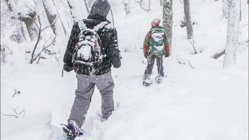 Algunas de las fotos publicadas por los usuarios de Twitter.