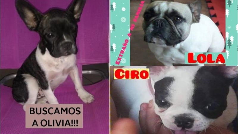 Las familias piden que sean devueltos.