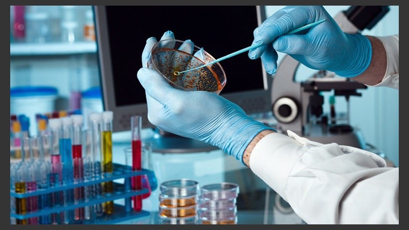 El director de cada tesina será premiado con el mismo monto.