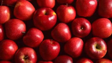 Las bacterias presentes en las manzanas orgánicas les dan mejor sabor.