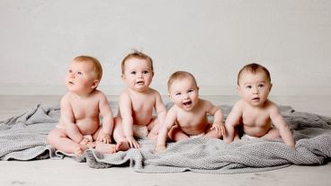 Los bebés no se sorprendieron cuando alguien que no era líder no pudo reparar una injusticia.