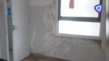 Así están las paredes de Pediatría.