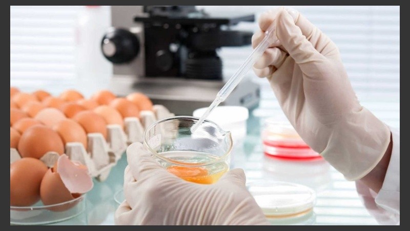 CCHD es el enfoque adoptado por la OPS para apoyar la Cooperación Sur-Sur y Triangular.