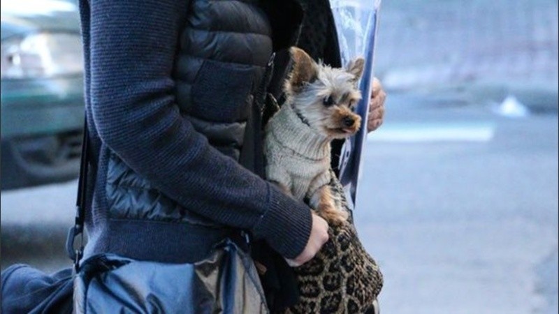 A preparar ropa para todos, ante la ola de frío.
