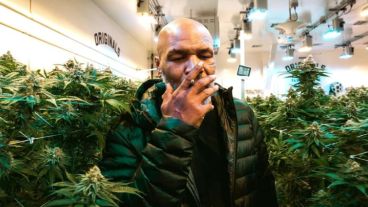 Tyson quiere tener la empresa de cannabis "más grande del mundo".