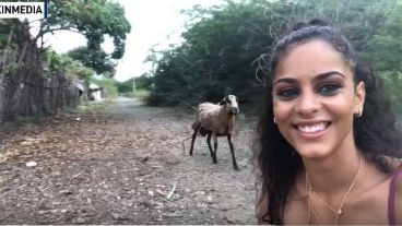 La mujer quedó herida tras el ataque del animal.