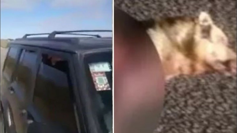 Un transeúnte encontró el cadáver y denunció la situación.