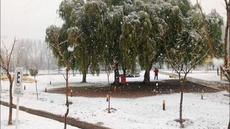Localidades del oeste pampeano quedaron teñidas de blanco; en Santa Rosa también nevó.
