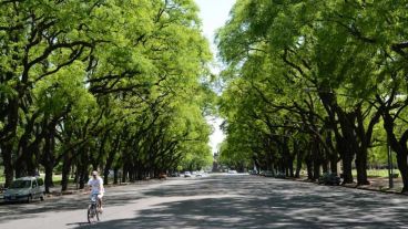 El bulevar Oroño, a la altura del parque Independencia, con el verde a pleno.